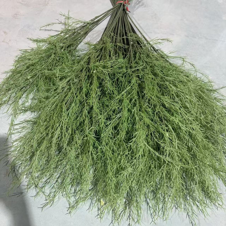 Lush Botanical Hanging Fern Decoration