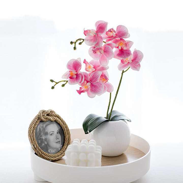 Decorative Orchid Arrangement
