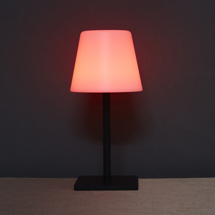 Modern Decorative Touch Lamp