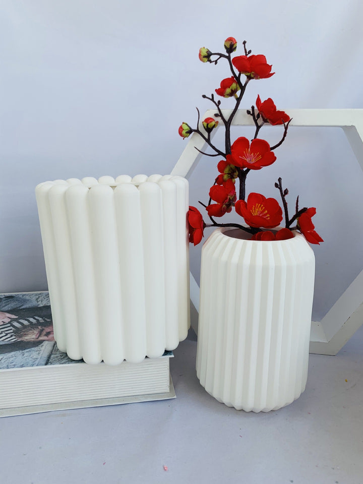 Decorative Plant Kalsten