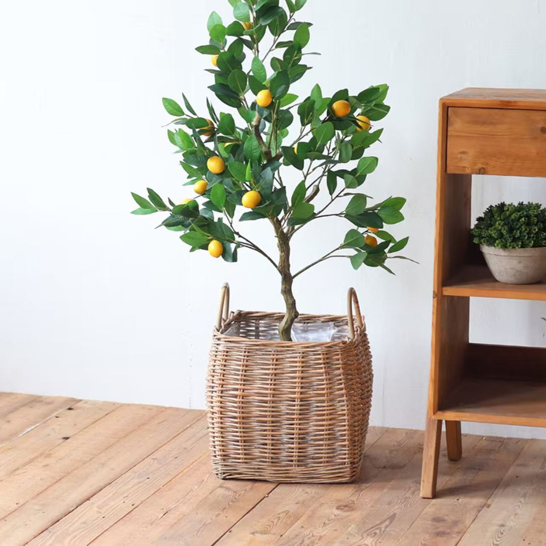 Decorative Basket Kalsten