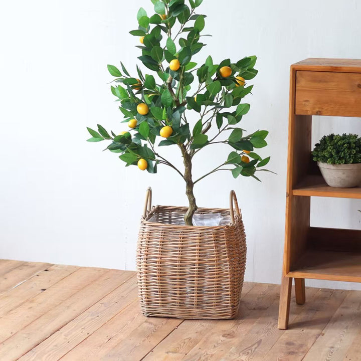 Decorative Basket Kalsten