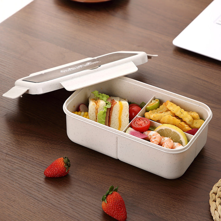 Eco-Friendly Bento Lunch Box with Airtight Seal