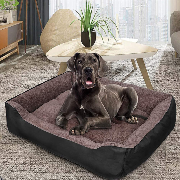 Elevated Orthopedic Dog Bed