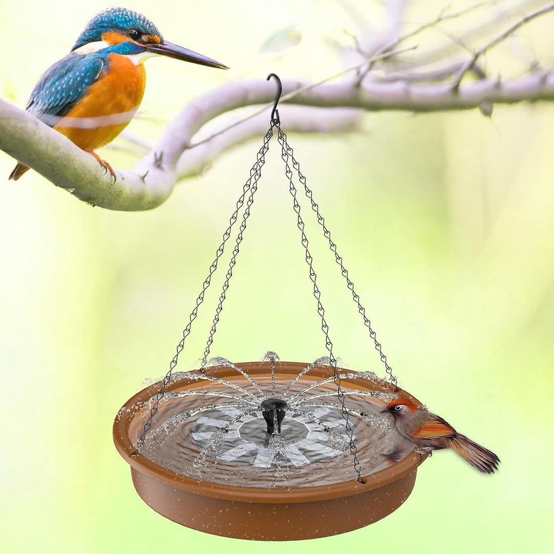 Bird Bath and Feeder Kalsten