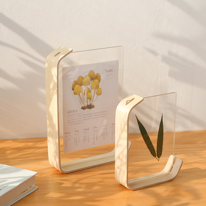 Artistic Photo Display Stand