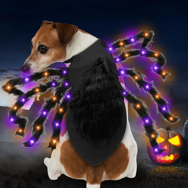Adjustable pet spider costume with eight plush legs and velcro