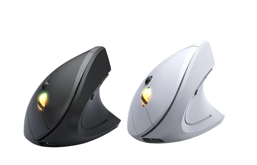 Vertical Wireless Ergonomic Mouse Kalsten