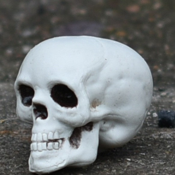 Decorative Mini Skull Figurine Kalsten
