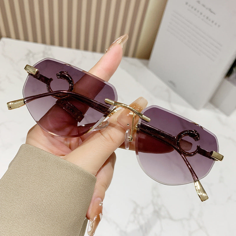 Women's trendy chic sunglasses in modern design with delicate metal frame Kalsten