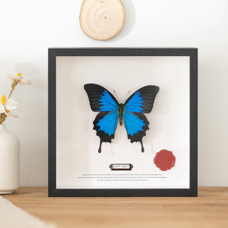Decorative Butterfly Wall Art for Home