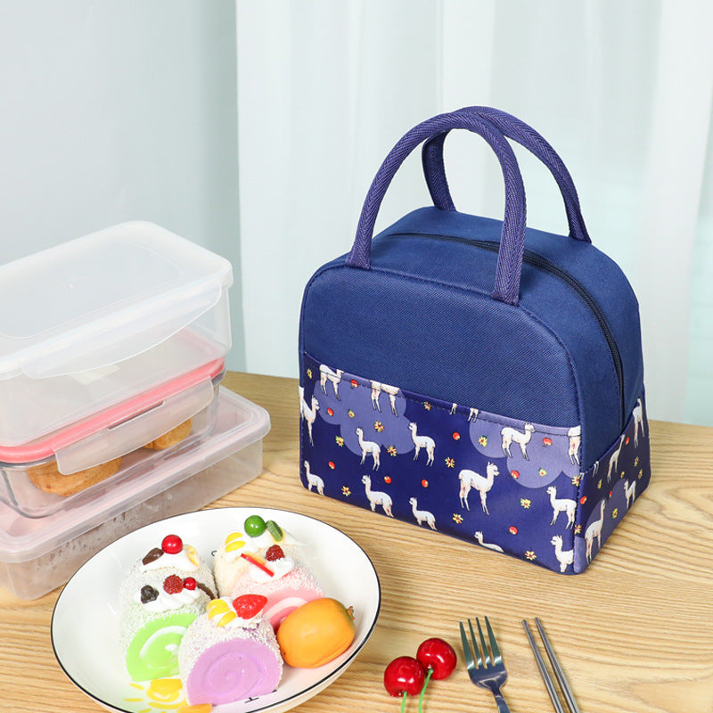 Stylish Insulated Lunch Backpack