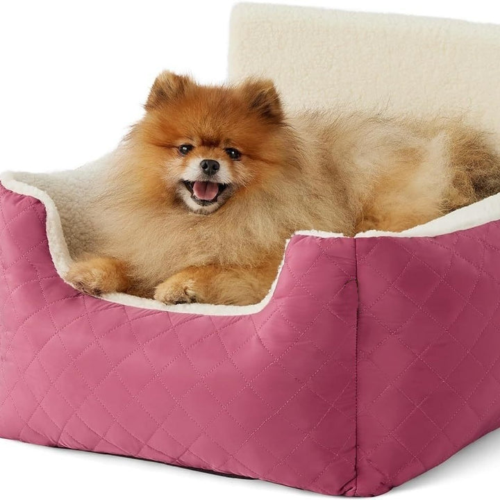 Auto-Safety-Dog-Bed Kalsten