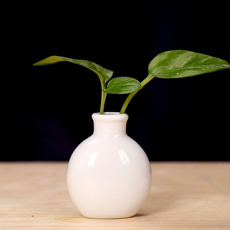 Miniature Ceramic Plant Holder Kalsten