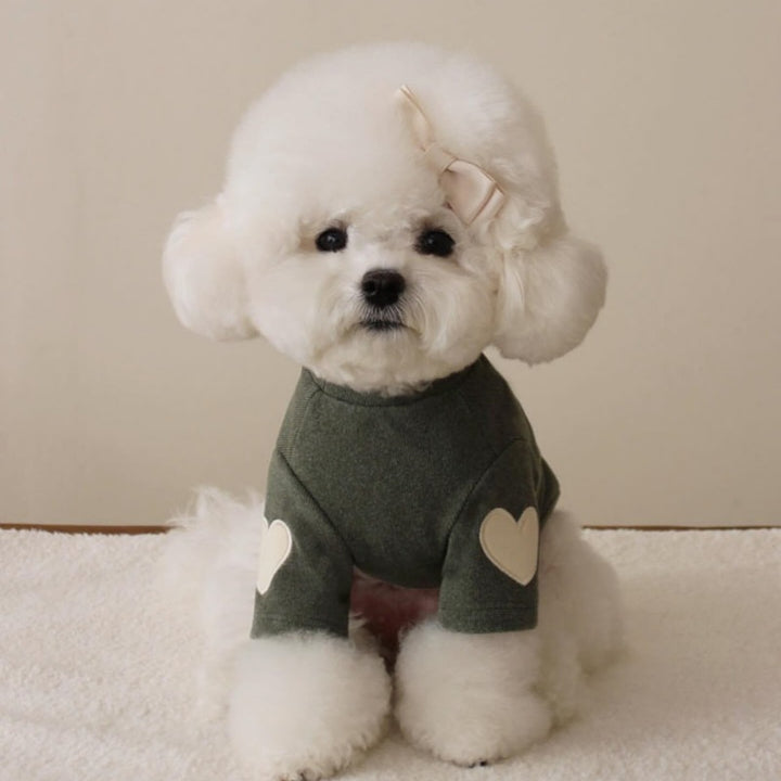 Pet Mock-Neck Ribbed Sweater with Heart El Patches