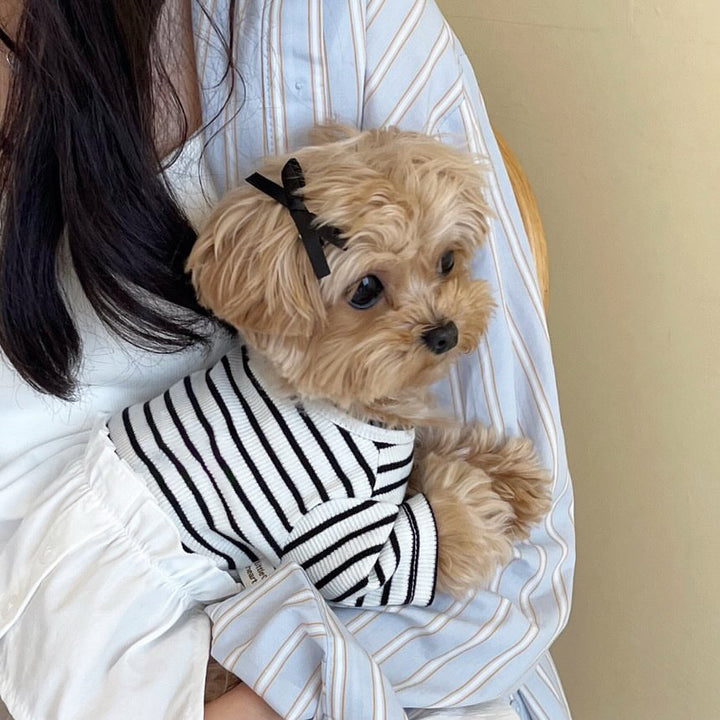 Small Dog Striped Cotton-Blend Knit Sweater with Peter Pan Collar