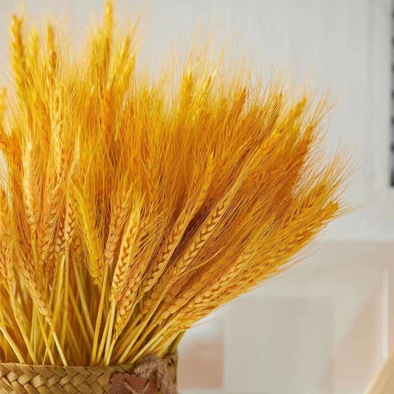 Decorative Wheat Stem Arrangement