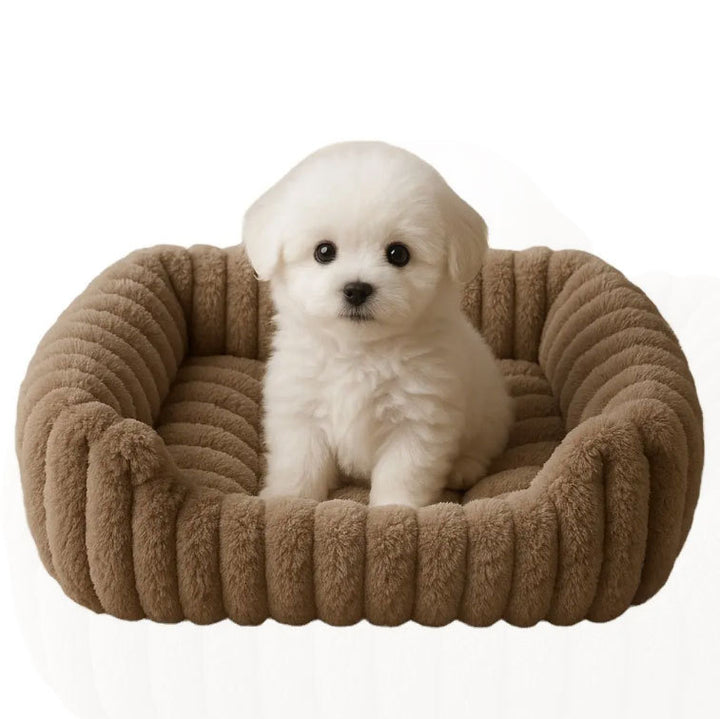 Cloud-Shaped Dog Bed