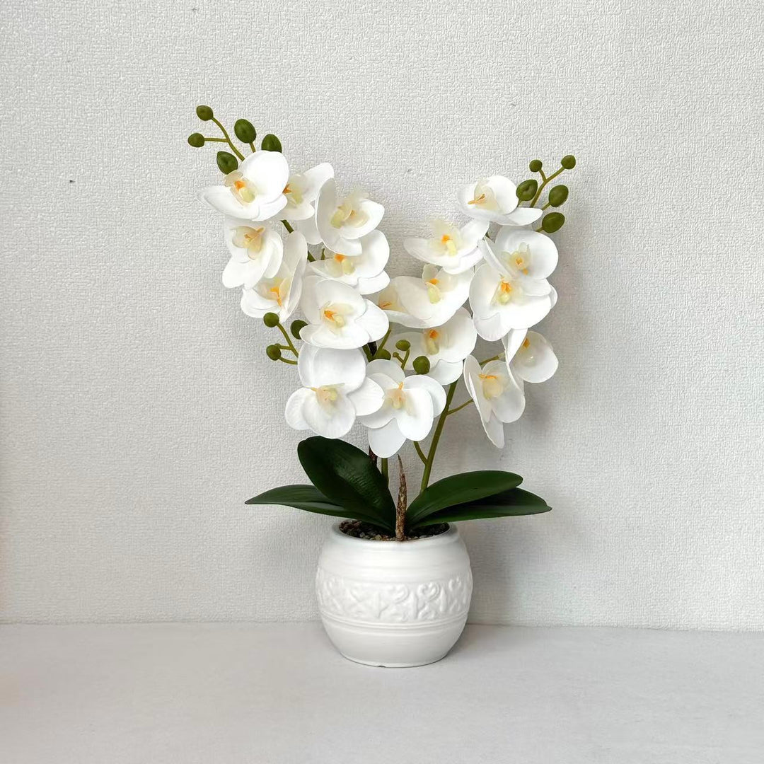 Decorative Orchid for Tabletop Home Decor