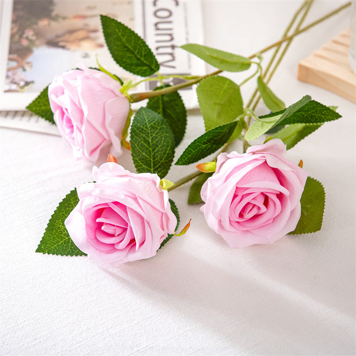 Realistic Elegant Rose Stem