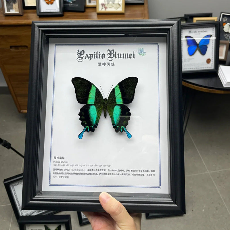 Decorative Butterfly Art Frame for Home Decor