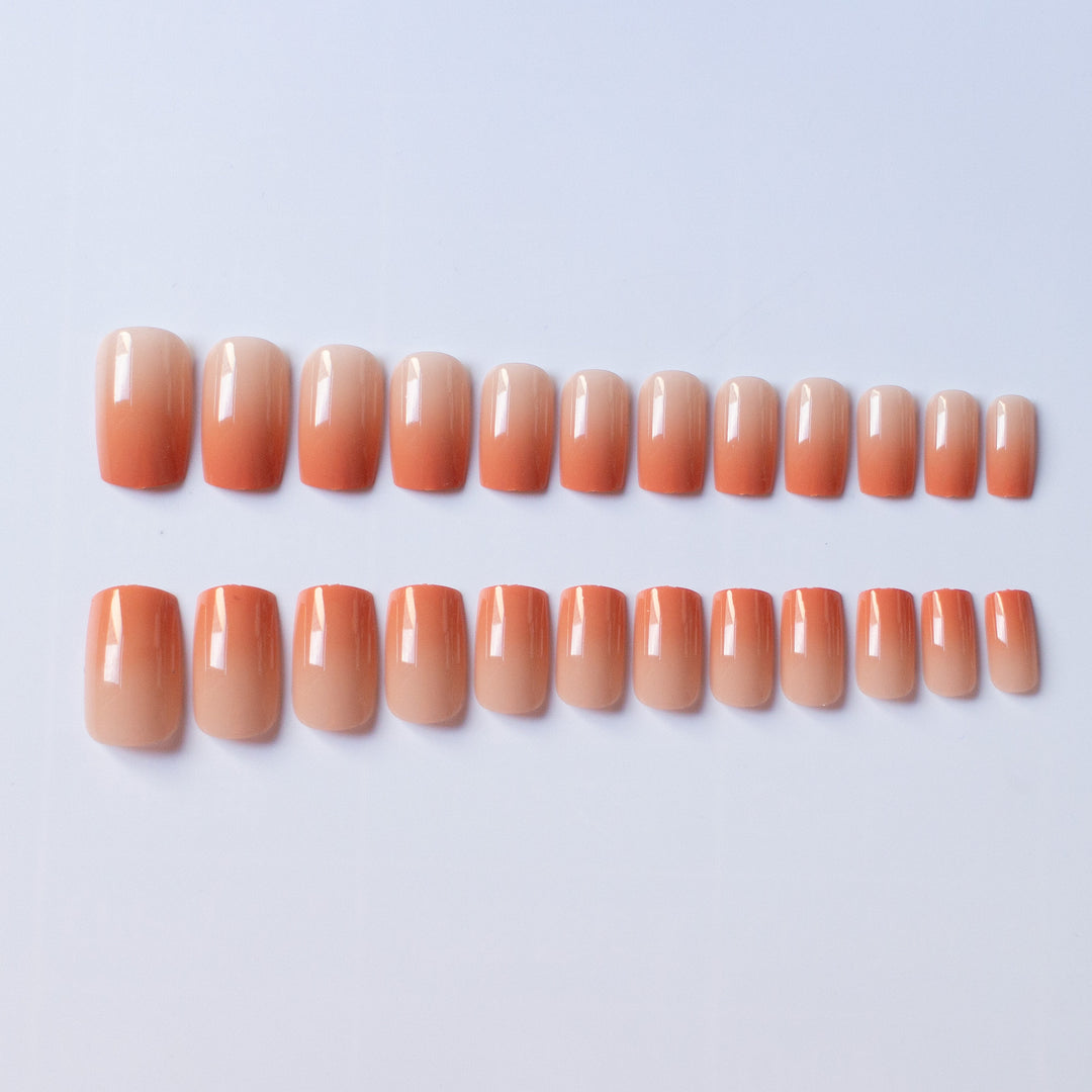 Glossy Natural Finish Nail Art Kit