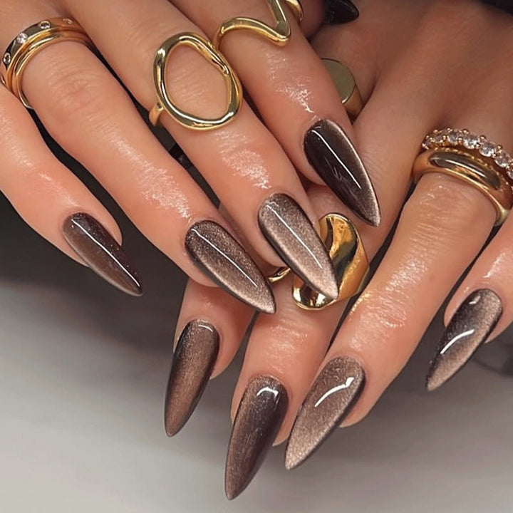 Glossy Stiletto Nail Tips