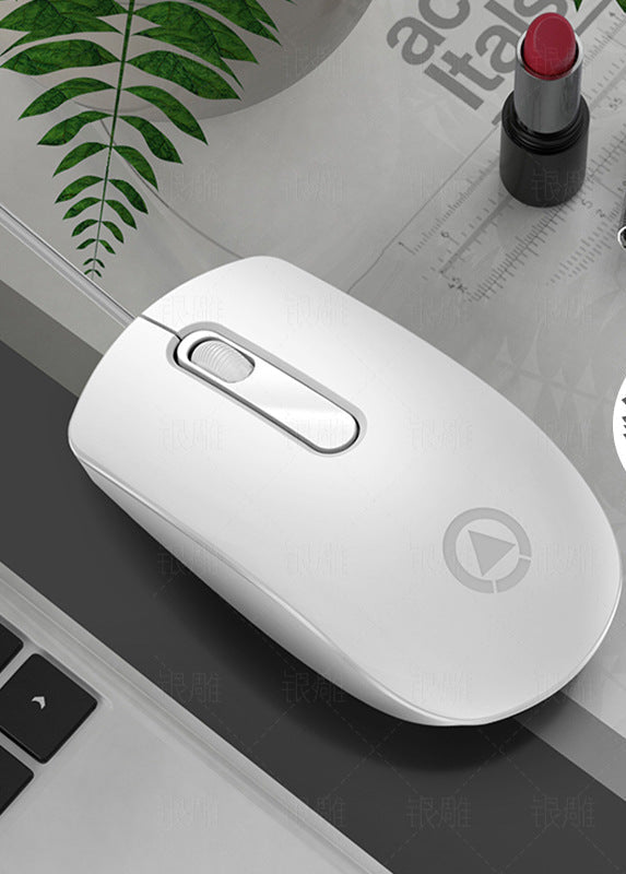 Ergonomic Wireless Mouse Kalsten