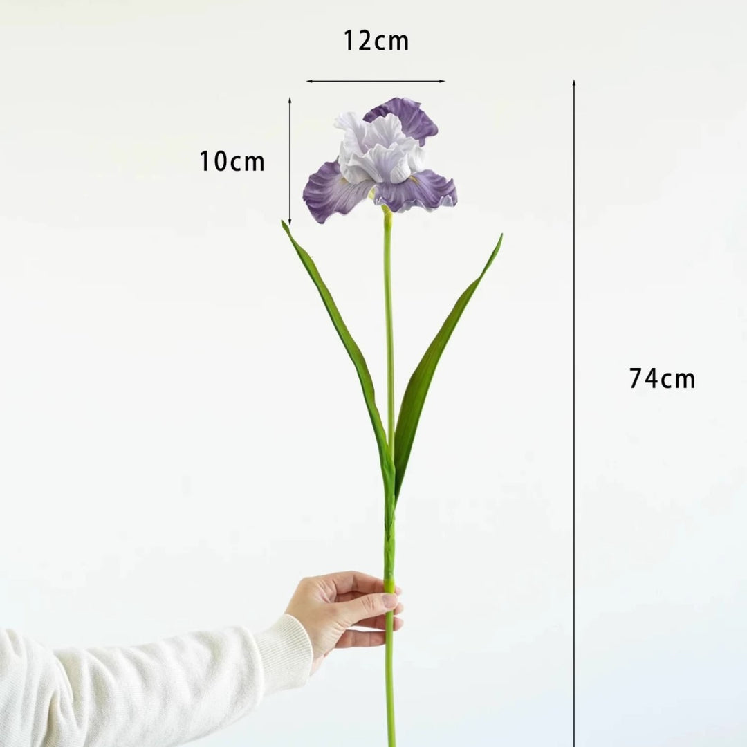 Decorative Iris Flower Stem