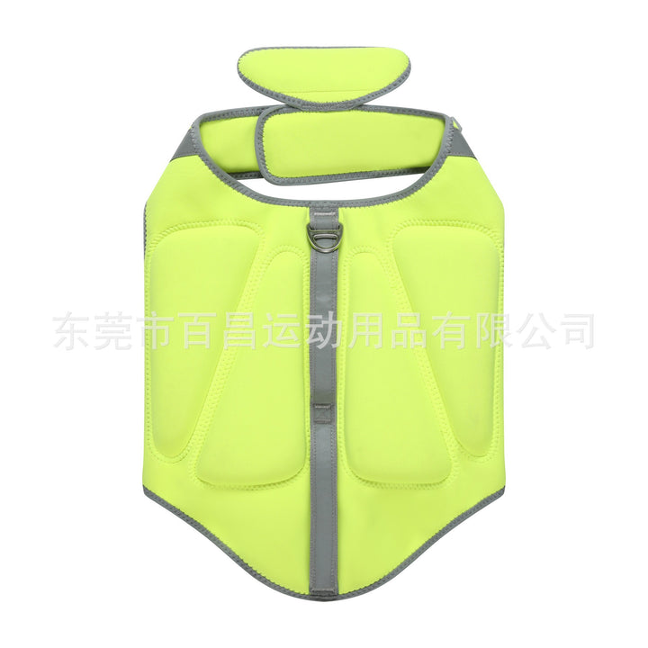Safety Harness