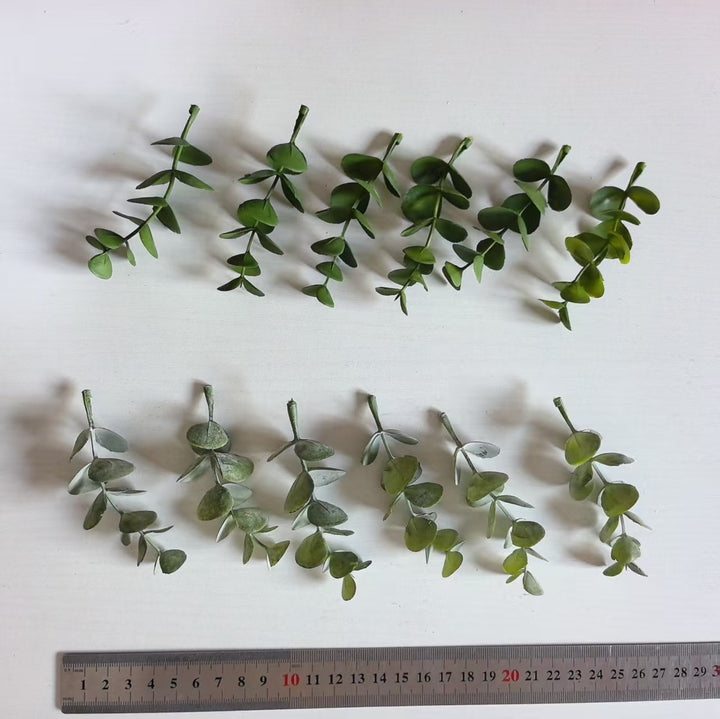 Decorative Eucalyptus