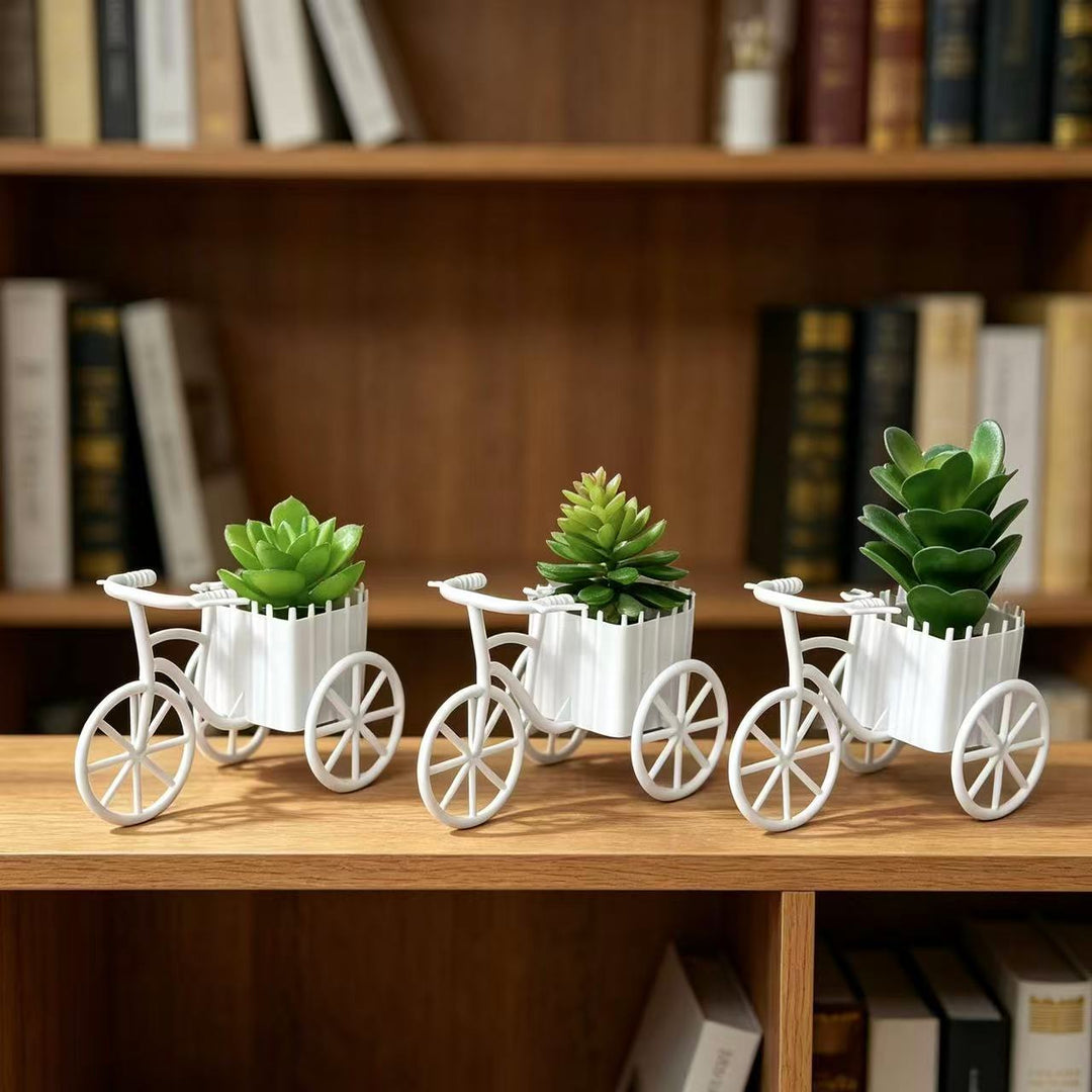 Decorative Bicycle Planter for Indoor Home Decor