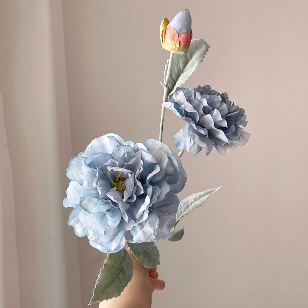 Realistic Peony Flower Stem