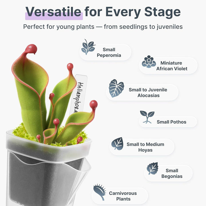 Self-Watering Seed Starter Pot System Kalsten