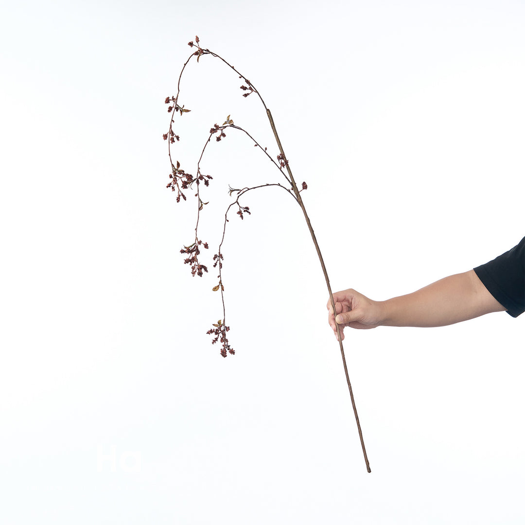 Delicate Cherry Blossom Stem