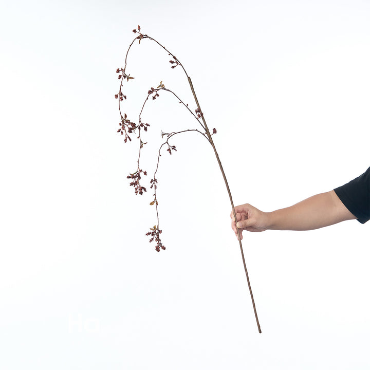 Delicate Cherry Blossom Stem