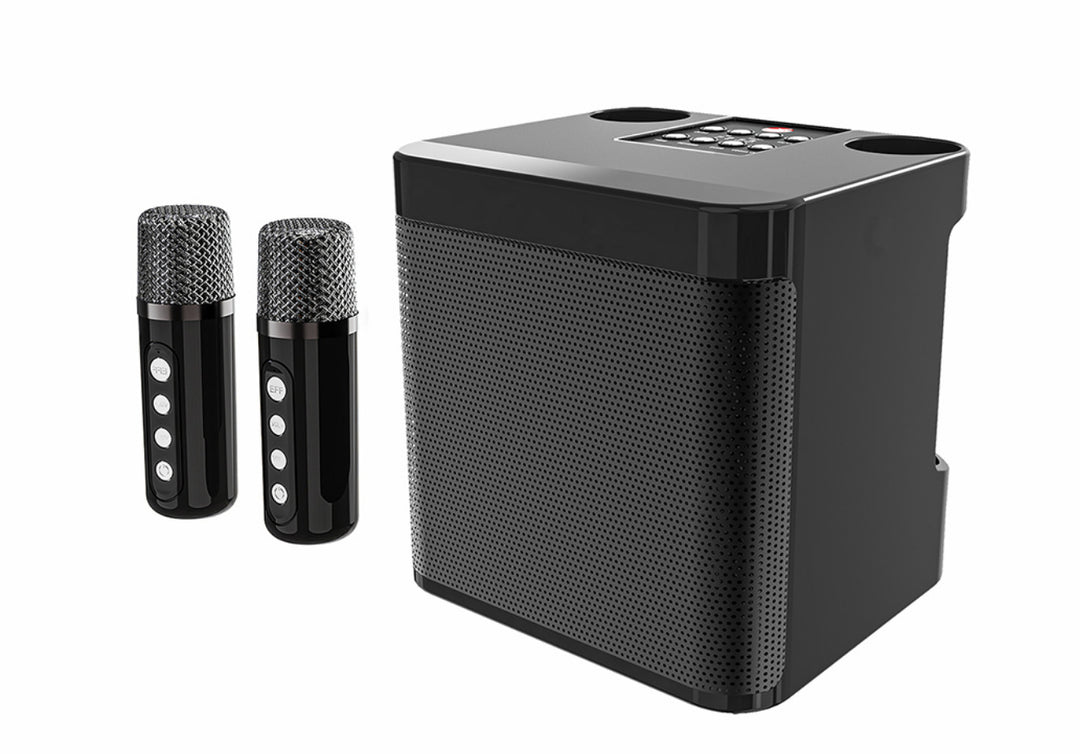 Karaoke Speaker System Kalsten