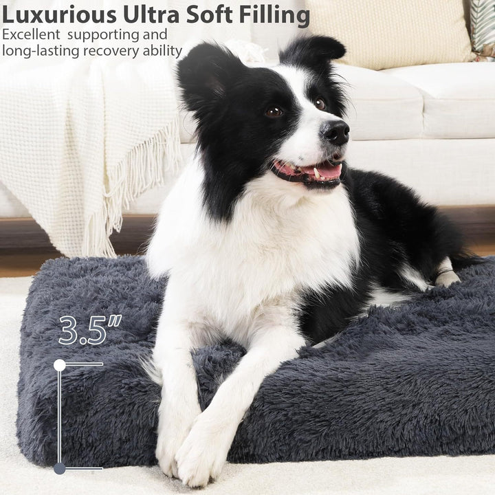 Pet Bed Kalsten