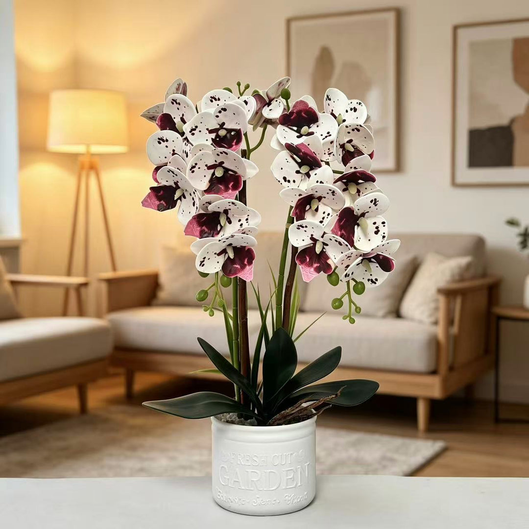 Decorative Potted Orchid Arrangement for Tabletop Decor