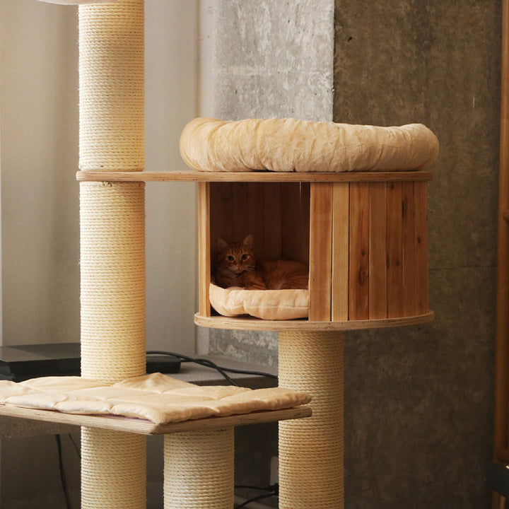 Cozy cat tree with multiple levels Kalsten
