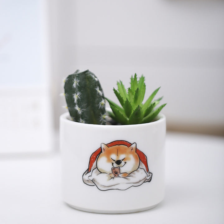 Cute Animal-Themed Succulent Planter Kalsten