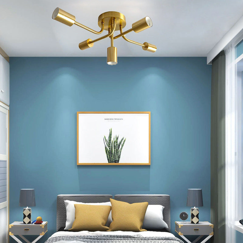 Adjustable Spotlight Ceiling Fixture