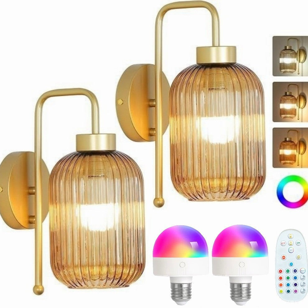Elegant Glass Wall Light Fixture