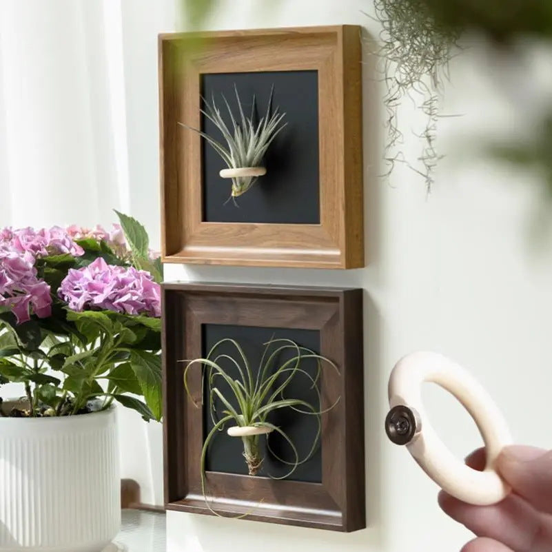 Artistic Plant Display Frame for Home Decor
