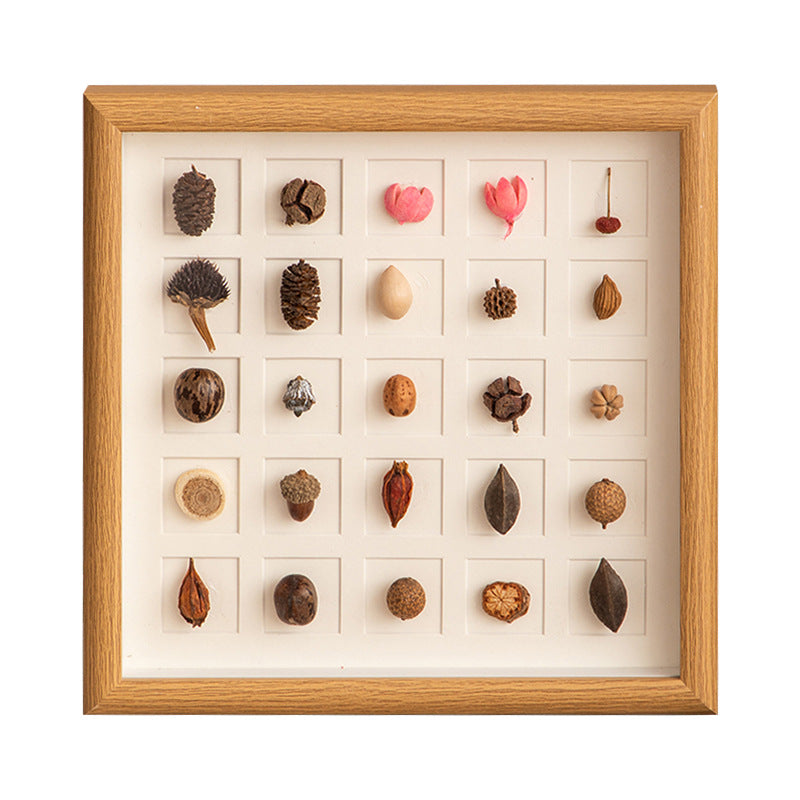 Botanical Specimen Display Frame
