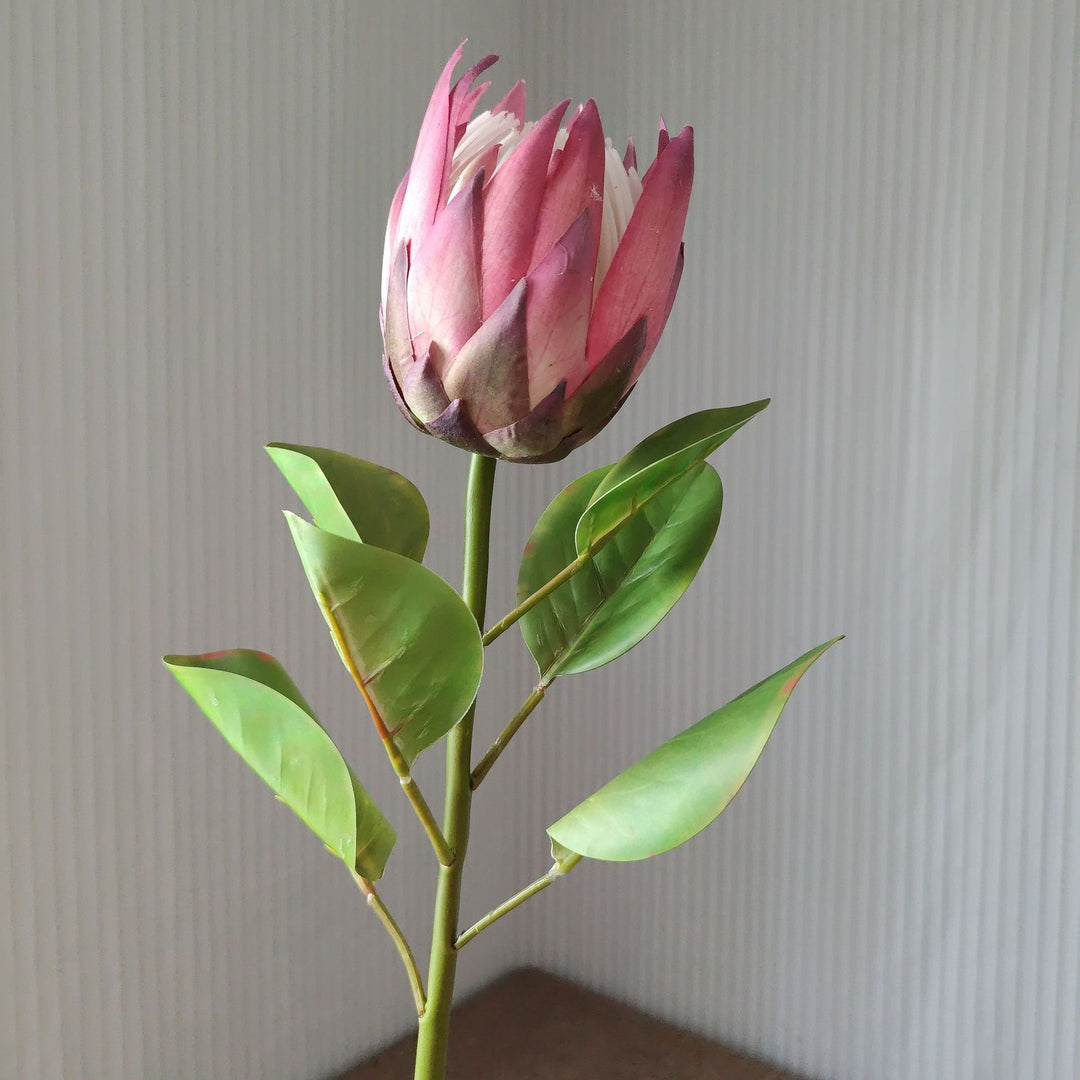 Lifelike Protea Flower Stem