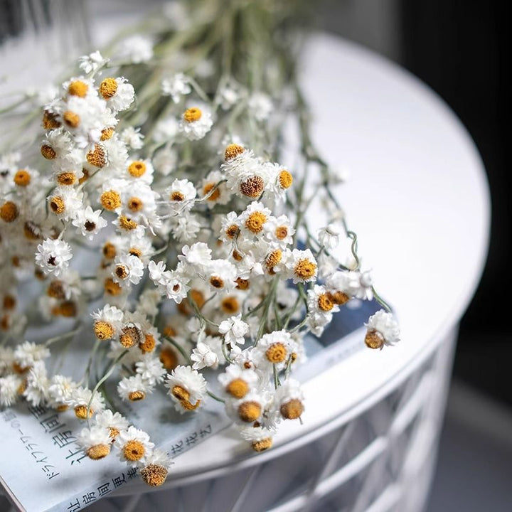 Dried Flower Bouquet Arrangement
