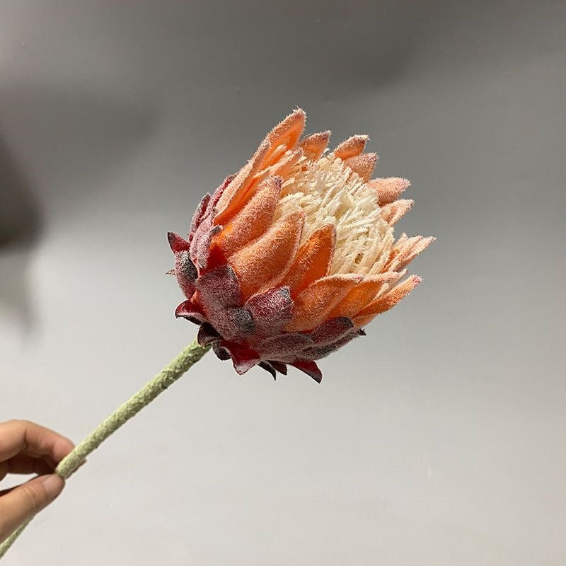 Lifelike Protea Flower Stem