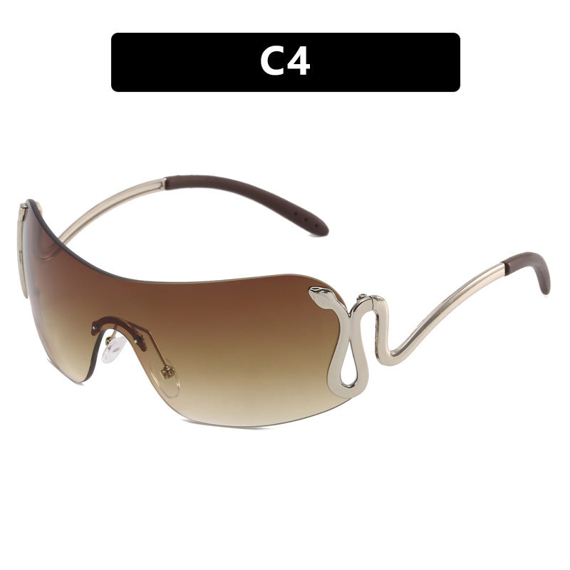 Ladies futuristic sunglasses with elegant swan design Kalsten