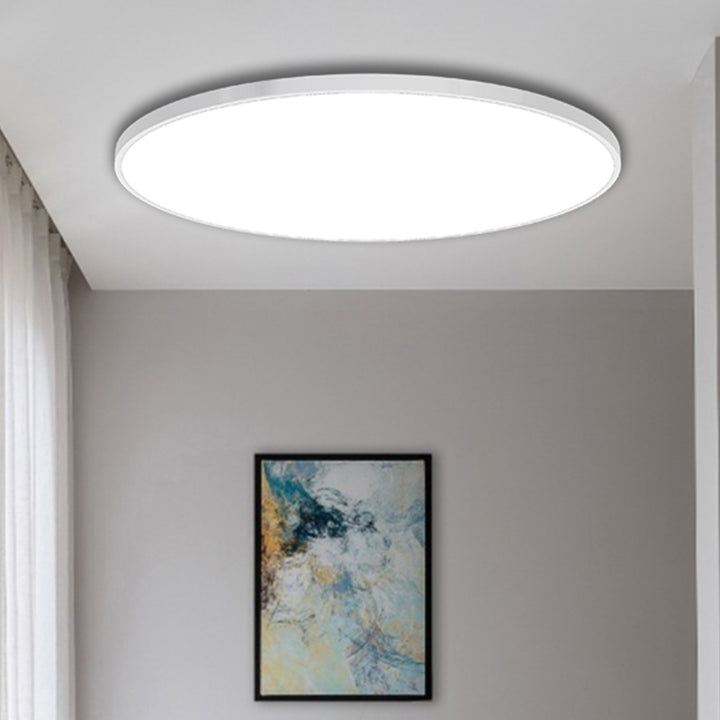 Modern Flush Mount Ceiling Light